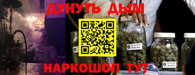 гашик Моздок