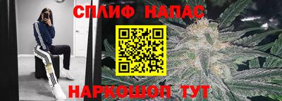 соль ск Можга