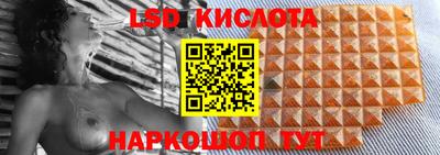 гашик Моздок