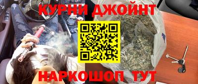 гашик Моздок