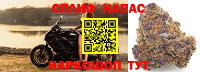 стаф Можайск
