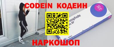 гашик Моздок