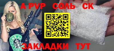 гашик Моздок