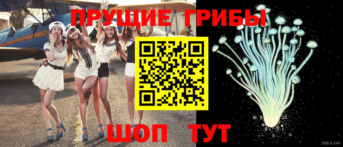 Псилоцибиновые грибы мицелий Чехов